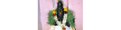 கோச்சடை